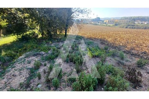 Helårsgrund i Agueda, Aveiro, Agueda - € 385.000 | Ref: 1020952/23 FR - foto 5