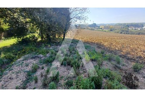 Helårsgrund i Agueda, Aveiro, Agueda - € 385.000 | Ref: 1020952/23 FR - foto 6