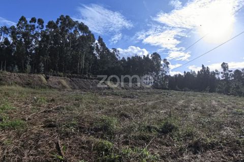 Villa a Amares, Braga, Amares - € 375.000 | Ref: ZMPT561849 - foto 26