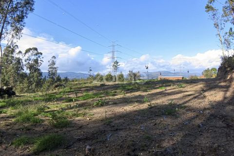 Villa a Amares, Braga, Amares - € 375.000 | Ref: ZMPT561849 - foto 28