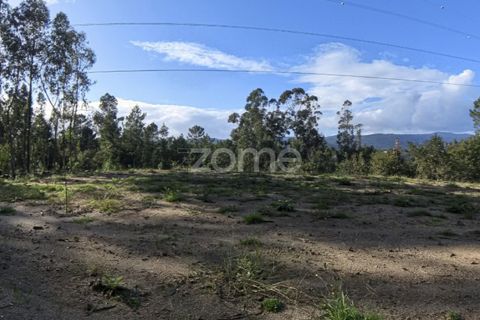 Villa a Amares, Braga, Amares - € 375.000 | Ref: ZMPT561849 - foto 29