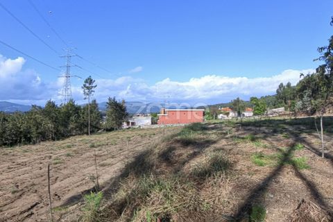 Villa a Amares, Braga, Amares - € 375.000 | Ref: ZMPT561849 - foto 30