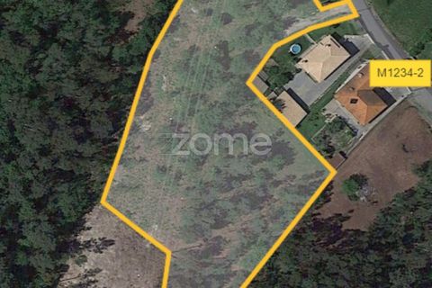 Villa a Amares, Braga, Amares - € 375.000 | Ref: ZMPT561849 - foto 22