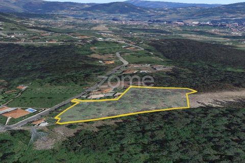 Villa a Amares, Braga, Amares - € 375.000 | Ref: ZMPT561849 - foto 25