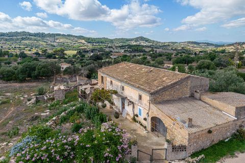 Villa i Manacor, Mallorca, Manacor - € 800.000 | Ref: SR1069RB/3010 - foto 2