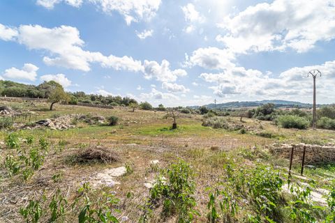 Villa i Manacor, Mallorca, Manacor - € 800.000 | Ref: SR1069RB/3010 - foto 10