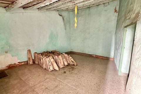 Villa i Giuliana, Palermo, Giuliana - € 7.000 | Ref: 8682RV24242 - foto 6