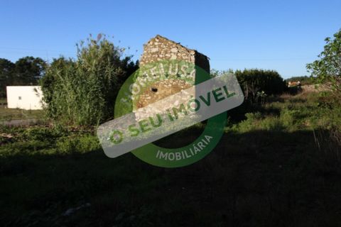 Terra a Quiaios, Coimbra, Quiaios - € 60.000 | Ref: FFMJ 5156 - foto 4