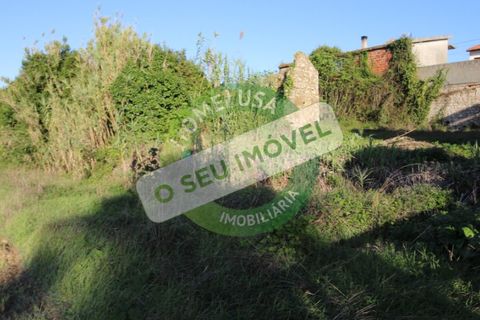 Terra a Quiaios, Coimbra, Quiaios - € 60.000 | Ref: FFMJ 5156 - foto 5
