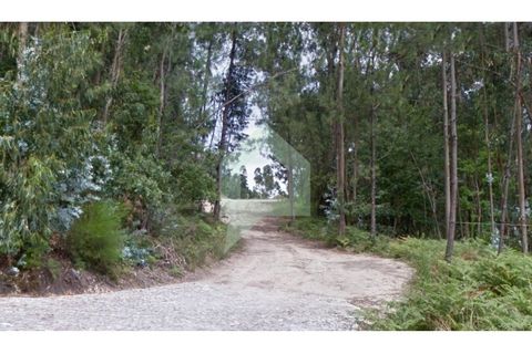 Helårsgrund i Braga, Braga, Braga - € 18.500 | Ref: SÒL_3211 - foto 2