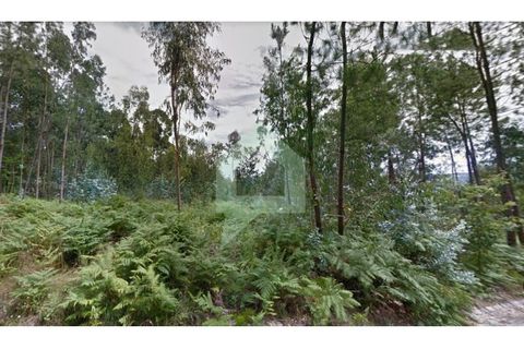 Helårsgrund i Braga, Braga, Braga - € 18.500 | Ref: SÒL_3211 - foto 3