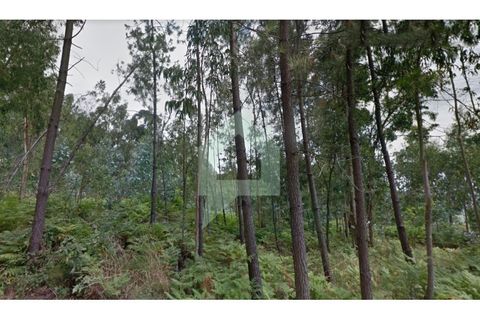 Helårsgrund i Braga, Braga, Braga - € 18.500 | Ref: SÒL_3211 - foto 4