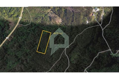 Helårsgrund i Braga, Braga, Braga - € 18.500 | Ref: SÒL_3211 - foto 1
