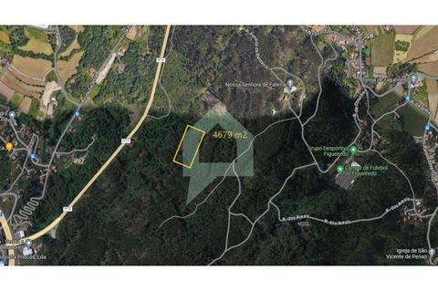 Helårsgrund i Braga, Braga, Braga - € 18.500 | Ref: SÒL_3211 - foto 5