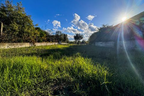 Helårsgrund i Tomar, Santarem, Tomar - € 78.000 | Ref: VCP218/23 - foto 3