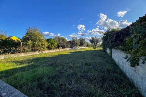 Helårsgrund i Tomar, Santarem, Tomar - € 78.000 | Ref: VCP218/23 - foto 4