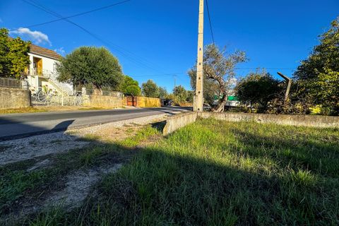 Helårsgrund i Tomar, Santarem, Tomar - € 78.000 | Ref: VCP218/23 - foto 5