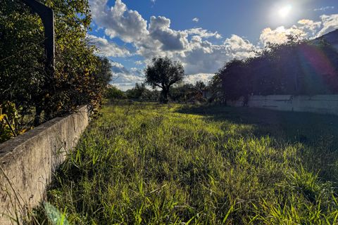 Helårsgrund i Tomar, Santarem, Tomar - € 78.000 | Ref: VCP218/23 - foto 6