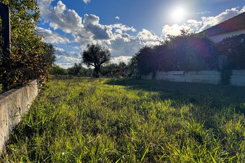Helårsgrund i Tomar, Santarem, Tomar - € 78.000 | Ref: VCP218/23 - foto 7