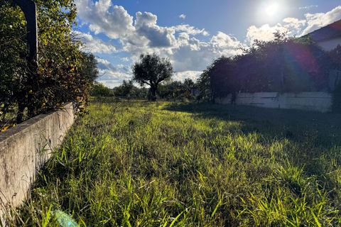 Helårsgrund i Tomar, Santarem, Tomar - € 78.000 | Ref: VCP218/23 - foto 8