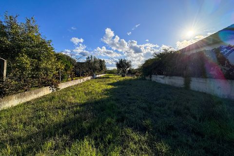 Helårsgrund i Tomar, Santarem, Tomar - € 78.000 | Ref: VCP218/23 - foto 9
