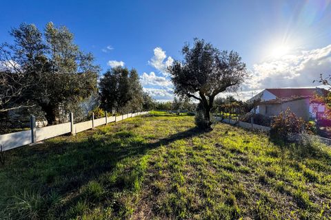 Helårsgrund i Tomar, Santarem, Tomar - € 78.000 | Ref: VCP218/23 - foto 10