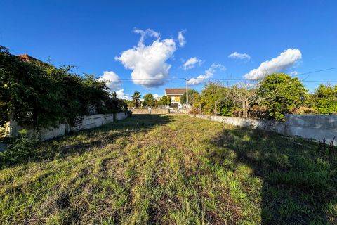 Helårsgrund i Tomar, Santarem, Tomar - € 78.000 | Ref: VCP218/23 - foto 11