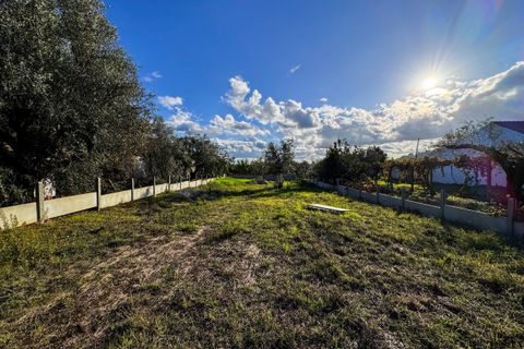 Helårsgrund i Tomar, Santarem, Tomar - € 78.000 | Ref: VCP218/23 - foto 2