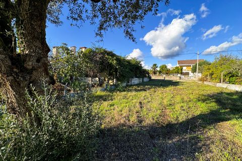 Helårsgrund i Tomar, Santarem, Tomar - € 78.000 | Ref: VCP218/23 - foto 12
