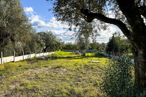 Helårsgrund i Tomar, Santarem, Tomar - € 78.000 | Ref: VCP218/23 - foto 13