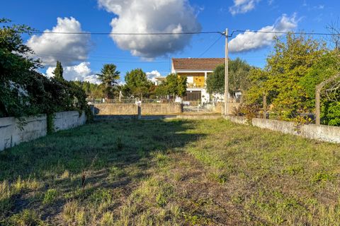 Helårsgrund i Tomar, Santarem, Tomar - € 78.000 | Ref: VCP218/23 - foto 15