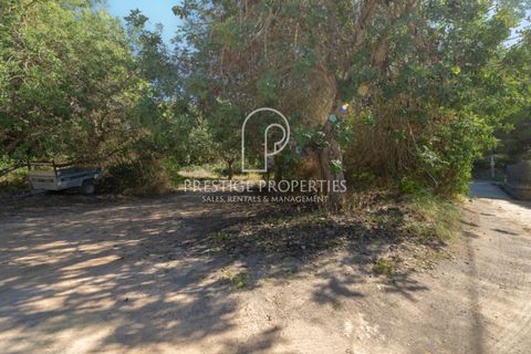Helårsgrund i Ibiza, Ibiza, Ibiza - € 950.000 | Ref: 7343 - foto 4