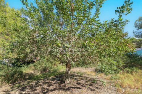 Helårsgrund i Ibiza, Ibiza, Ibiza - € 950.000 | Ref: 7343 - foto 7