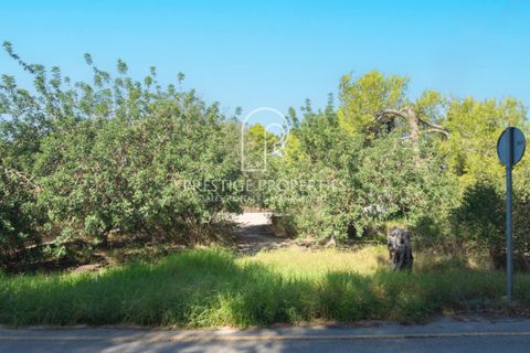 Helårsgrund i Ibiza, Ibiza, Ibiza - € 950.000 | Ref: 7343 - foto 9