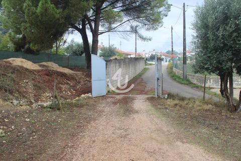 Helårsgrund i Ourem, Santarem, Ourem - € 159.900 | Ref: S4U133-V19 - foto 20