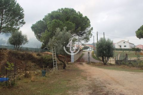 Helårsgrund i Ourem, Santarem, Ourem - € 159.900 | Ref: S4U133-V19 - foto 21