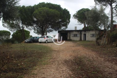 Helårsgrund i Ourem, Santarem, Ourem - € 159.900 | Ref: S4U133-V19 - foto 22