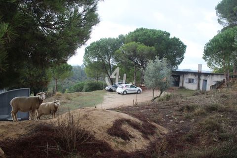 Helårsgrund i Ourem, Santarem, Ourem - € 159.900 | Ref: S4U133-V19 - foto 23