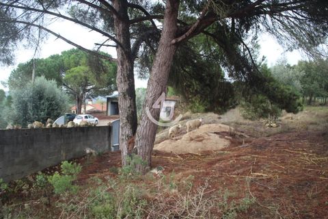 Helårsgrund i Ourem, Santarem, Ourem - € 159.900 | Ref: S4U133-V19 - foto 24