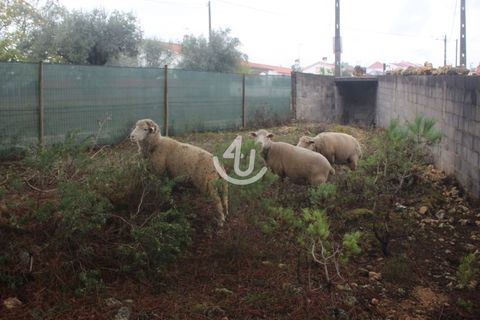 Helårsgrund i Ourem, Santarem, Ourem - € 159.900 | Ref: S4U133-V19 - foto 29