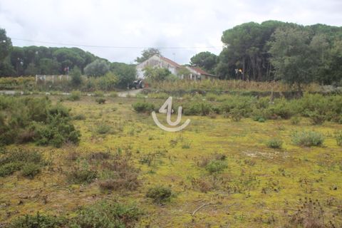 Helårsgrund i Ourem, Santarem, Ourem - € 159.900 | Ref: S4U133-V19 - foto 1