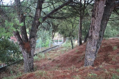 Helårsgrund i Ourem, Santarem, Ourem - € 159.900 | Ref: S4U133-V19 - foto 33