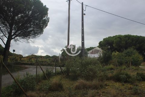 Helårsgrund i Ourem, Santarem, Ourem - € 159.900 | Ref: S4U133-V19 - foto 34