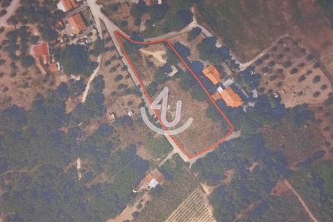 Helårsgrund i Ourem, Santarem, Ourem - € 159.900 | Ref: S4U133-V19 - foto 38