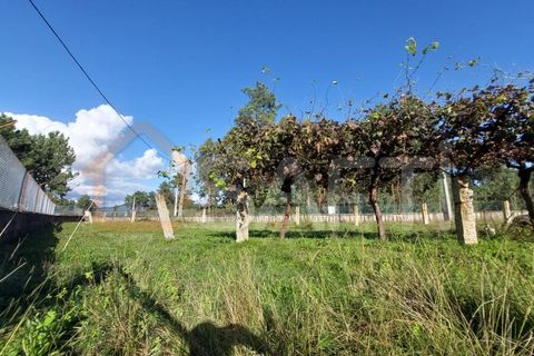 Helårsgrund i Moncao, Viana do Castelo, Moncao - € 50.000 | Ref: SAFTI:004049 - foto 4