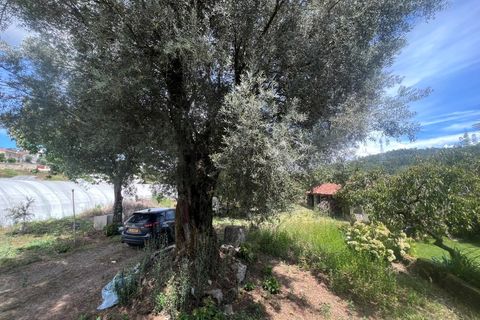 Villa i Ponte de Lima, Viana do Castelo, Ponte de Lima - € 310.000 | Ref: A442023 - foto 9