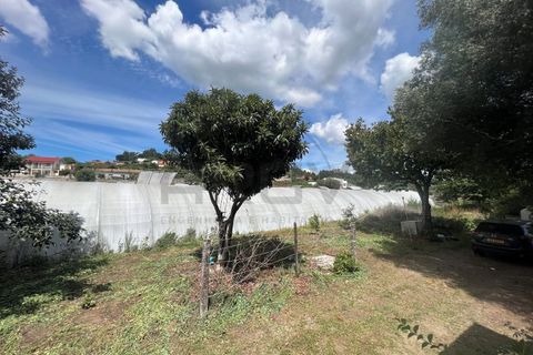 Villa i Ponte de Lima, Viana do Castelo, Ponte de Lima - € 310.000 | Ref: A442023 - foto 10