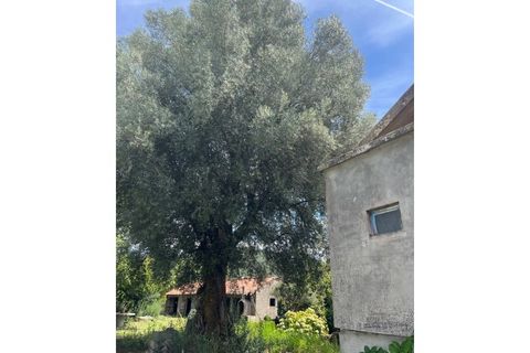 Villa i Ponte de Lima, Viana do Castelo, Ponte de Lima - € 310.000 | Ref: A442023 - foto 13