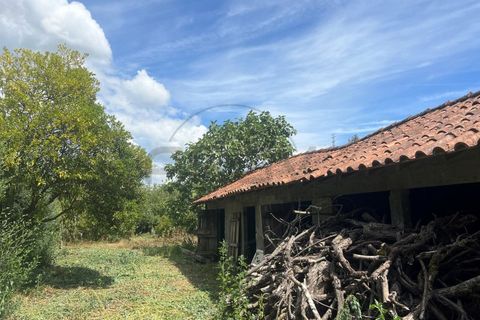 Villa i Ponte de Lima, Viana do Castelo, Ponte de Lima - € 310.000 | Ref: A442023 - foto 15