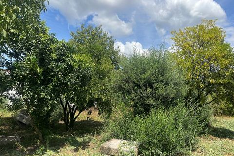 Villa i Ponte de Lima, Viana do Castelo, Ponte de Lima - € 310.000 | Ref: A442023 - foto 16